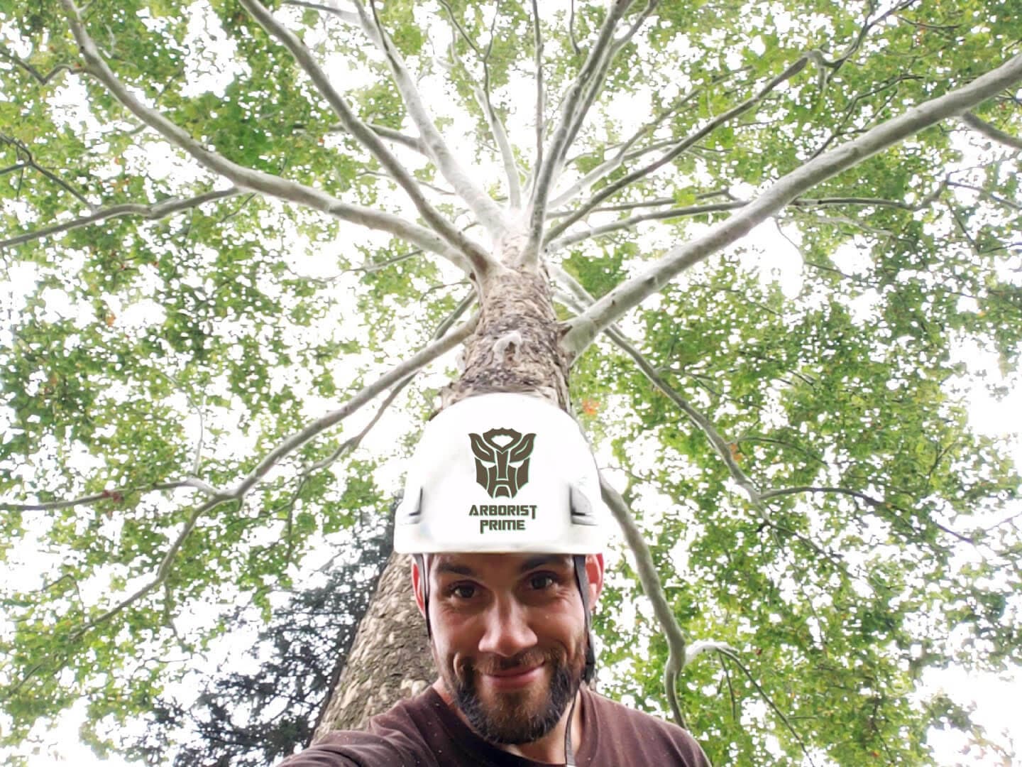 Arborist Prime LLC