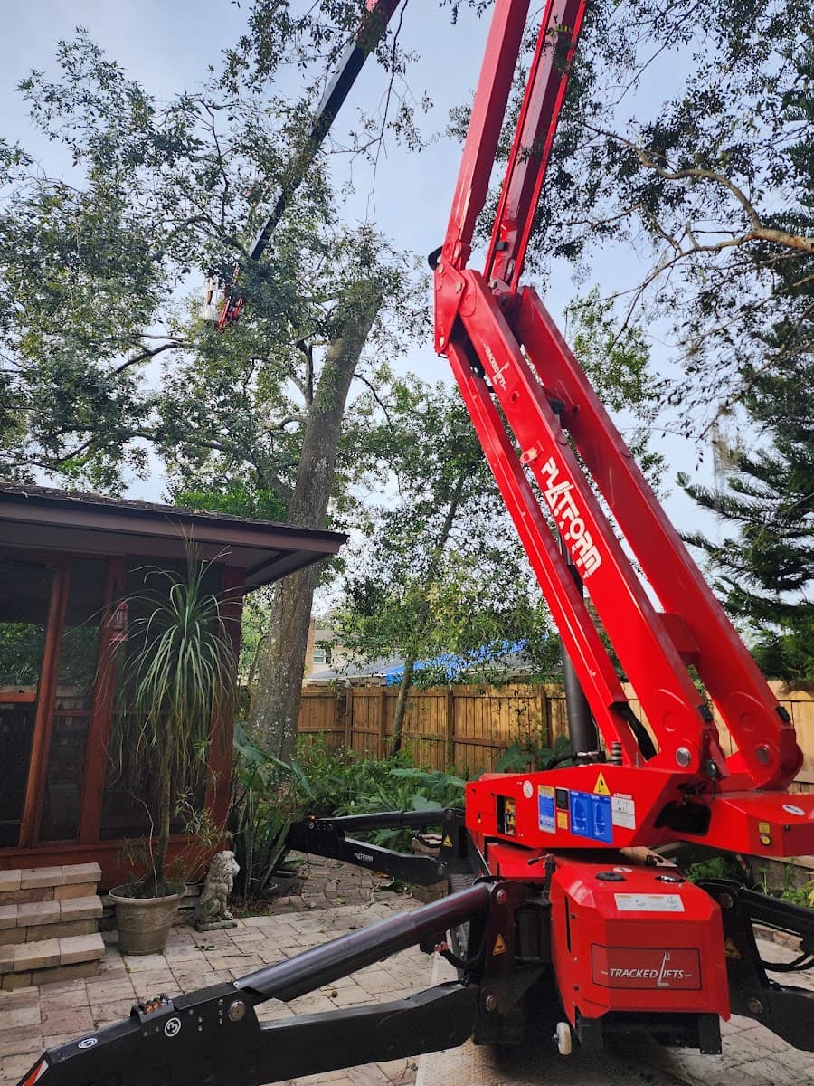 Bushor's Tree Surgeons