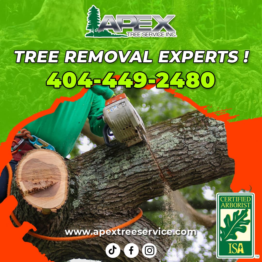 Apex Tree Service
