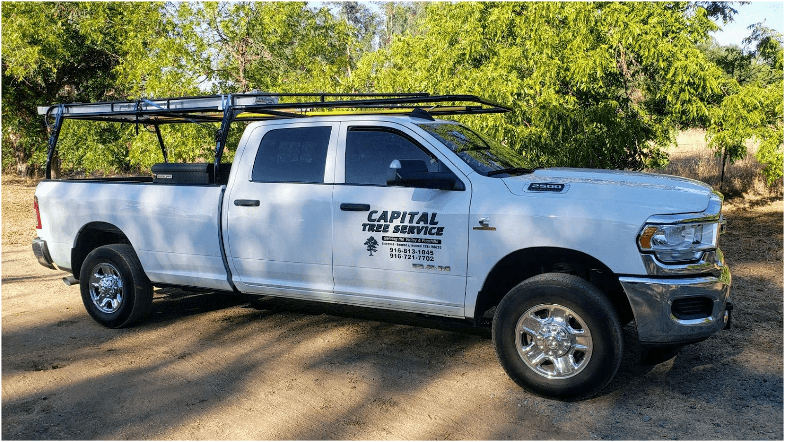 Capital Tree Service