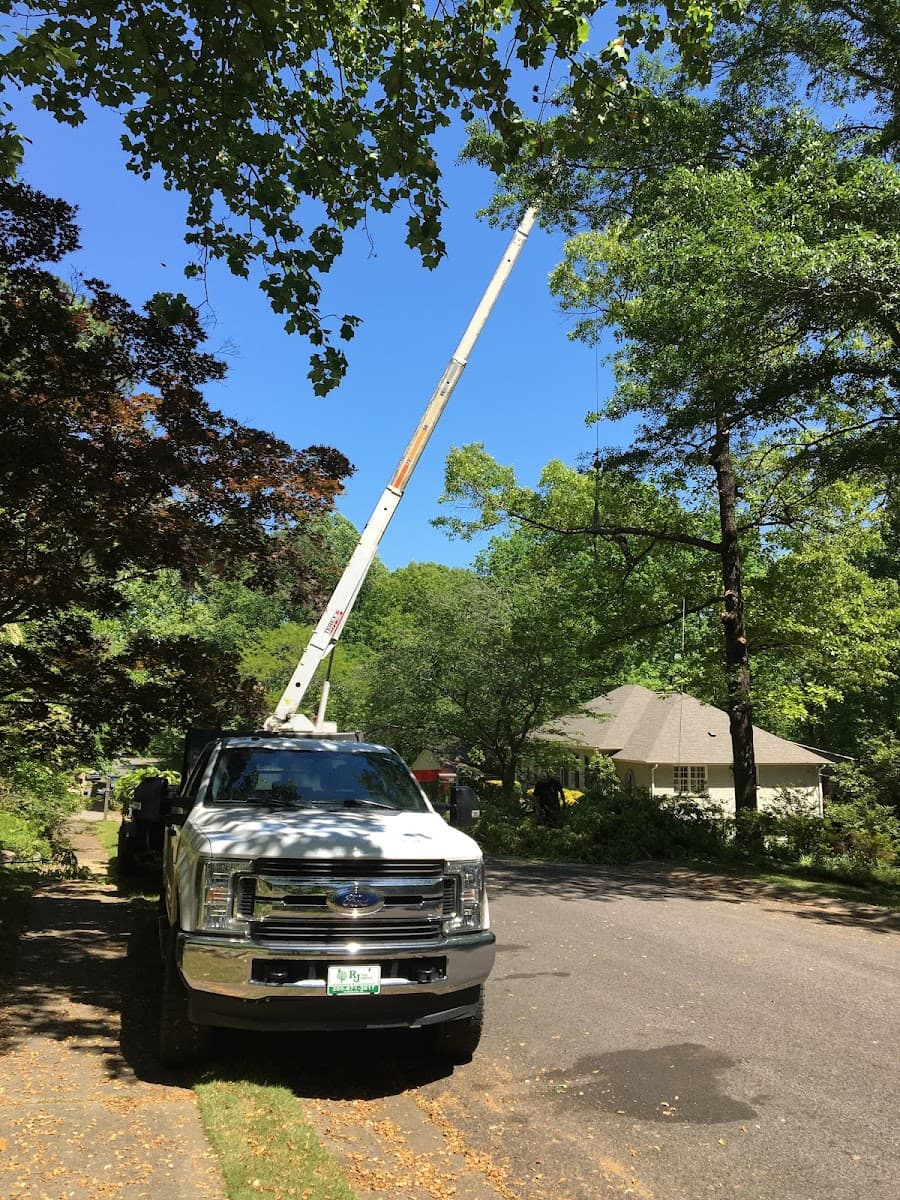 RJ Tree Service