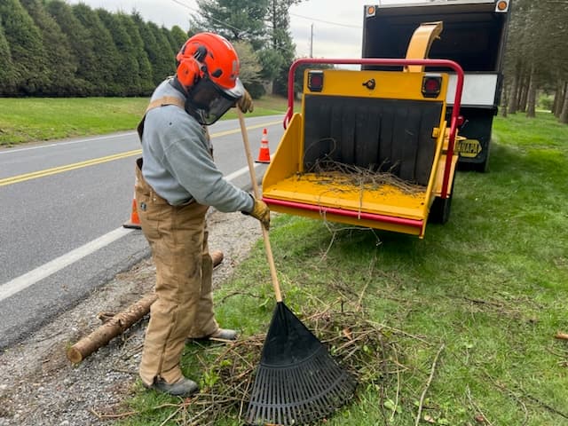 LIM 4 Him Tree Service, LLC