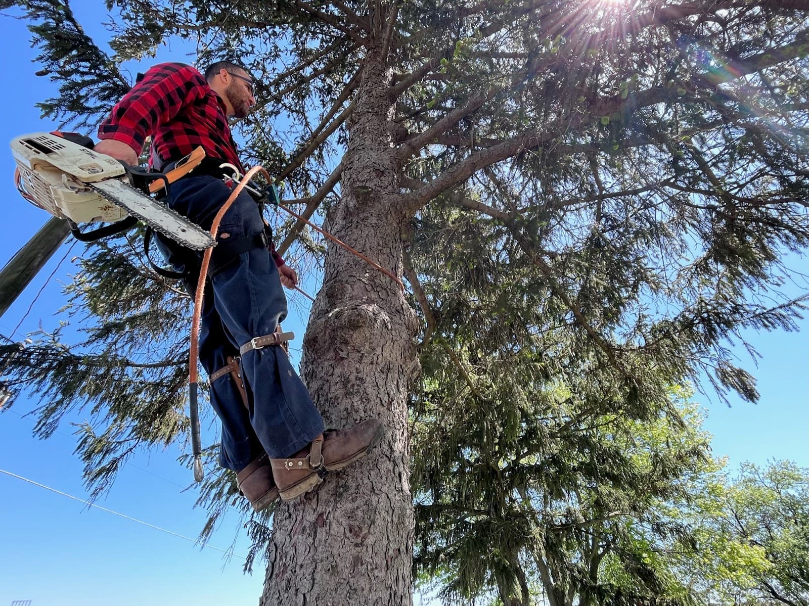 Pickering Tree Service LLC