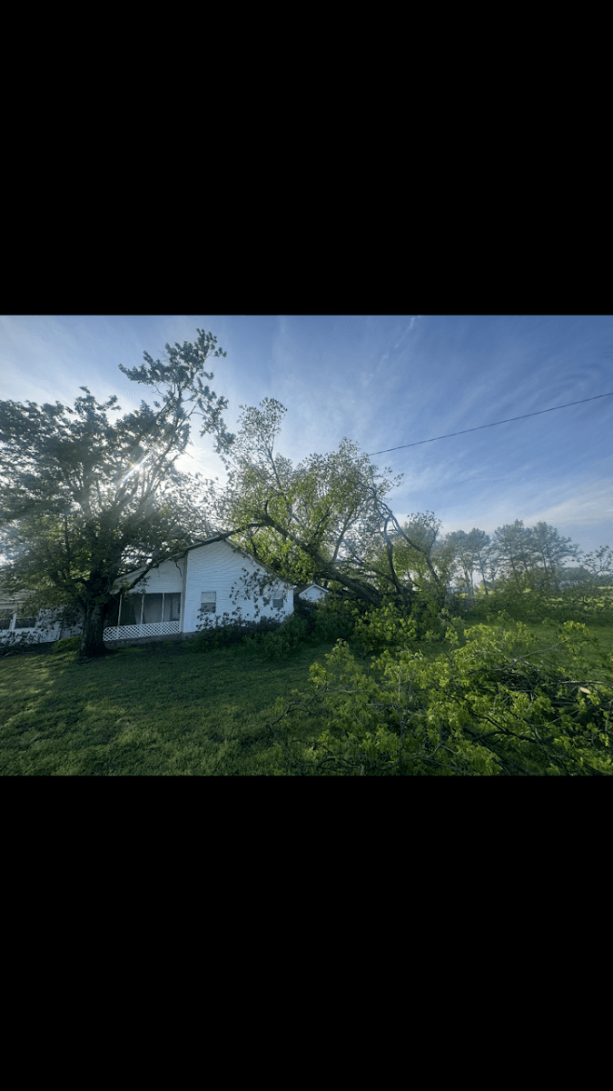Branch'In Out Tree Service