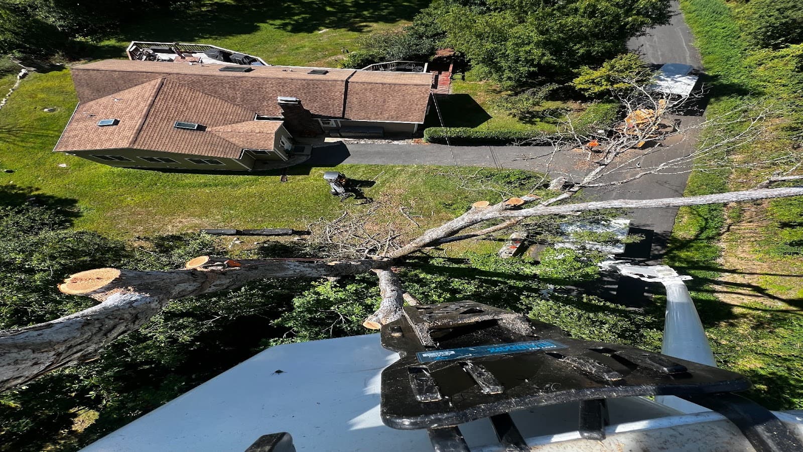 Second Nature Tree LLC