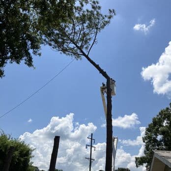 Breedlove Tree Service LLC