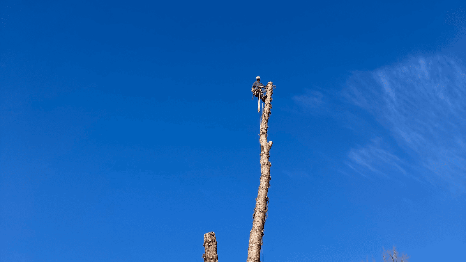 Over The Top Tree Service