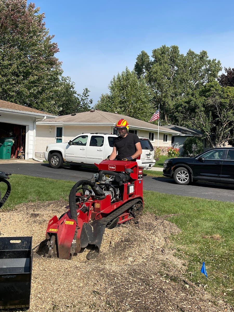 VK Tree & Stump Service LLC