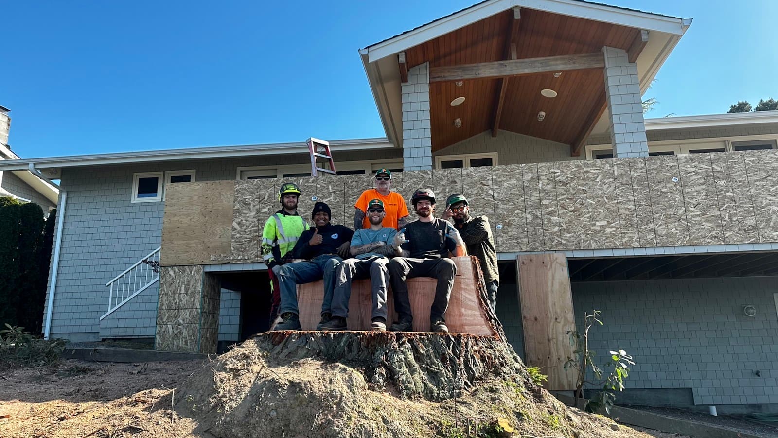 Dead Or Alive Tree Service