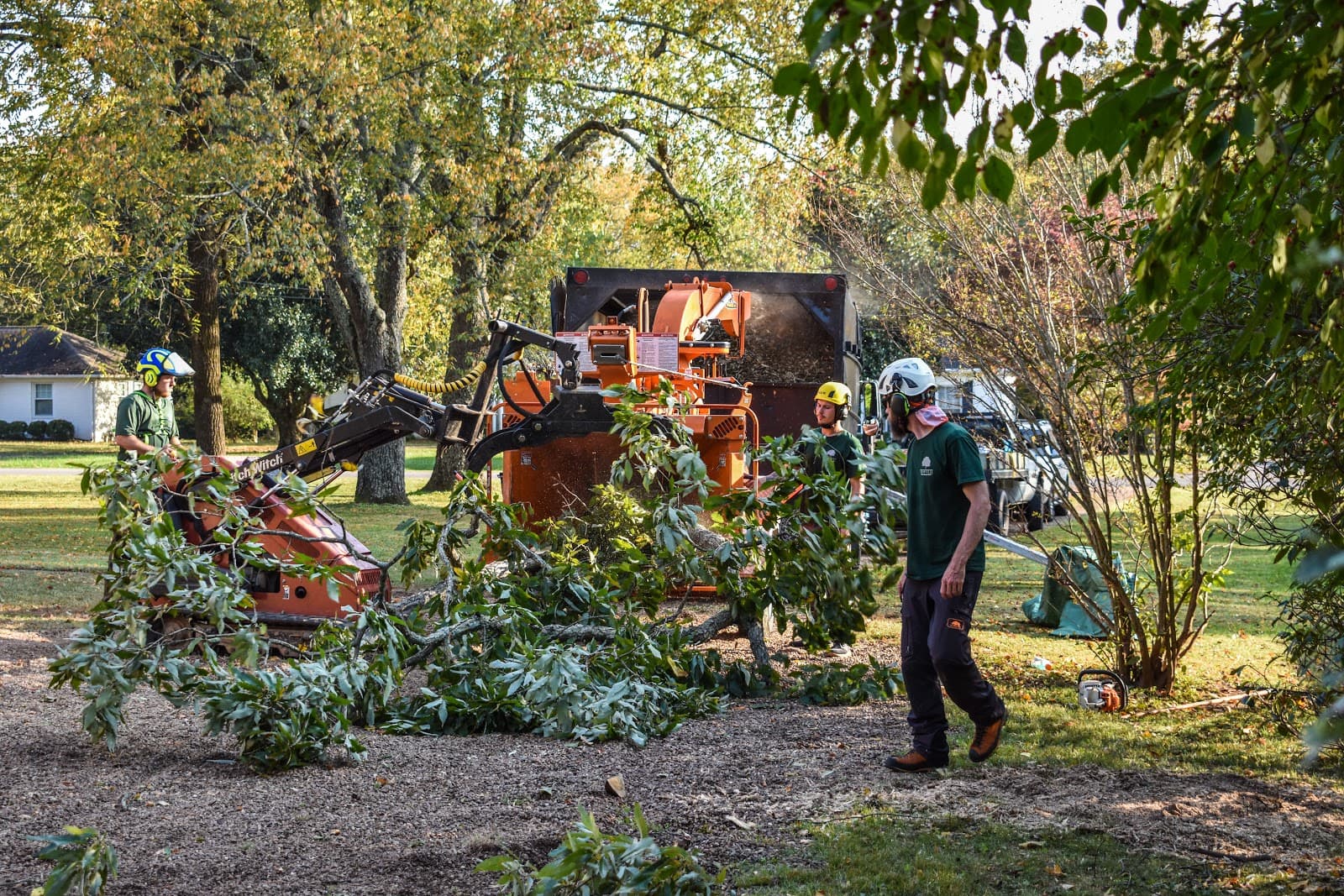 The Good Tree Company