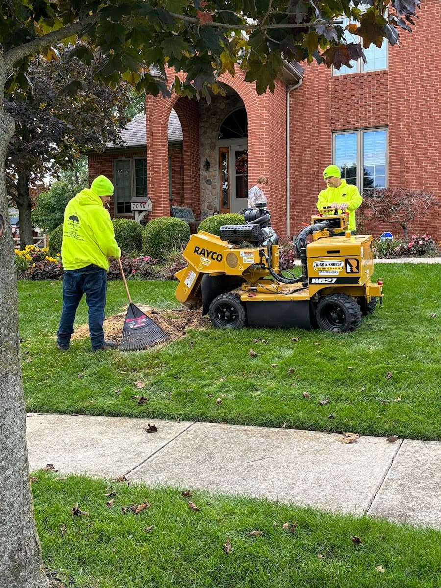 COXS TREE AND LAWN CARE LLC