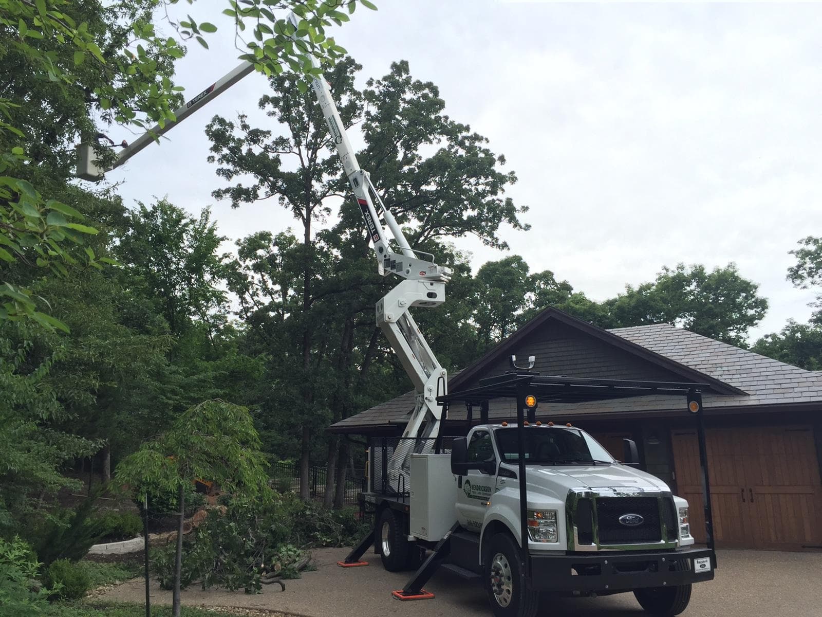 Hendrickson Tree Care Company