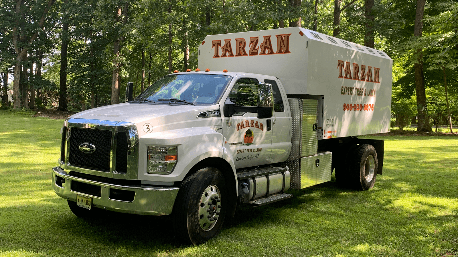 Tarzan Expert Tree & Lawn