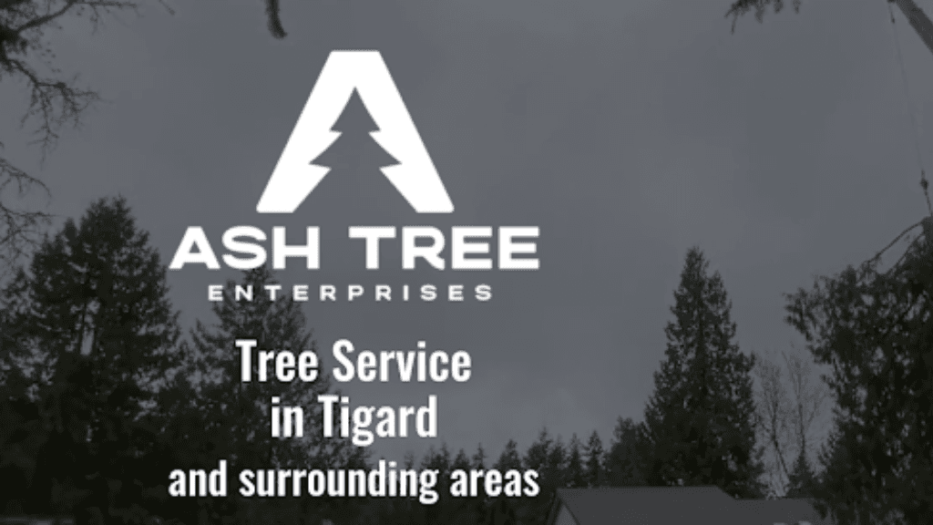 Ash Tree Enterprises
