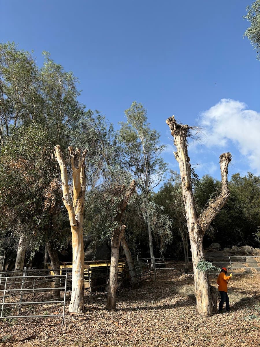 Estates Tree Service