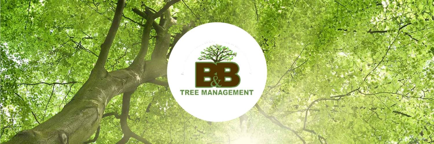 B&B Tree Management, LLC