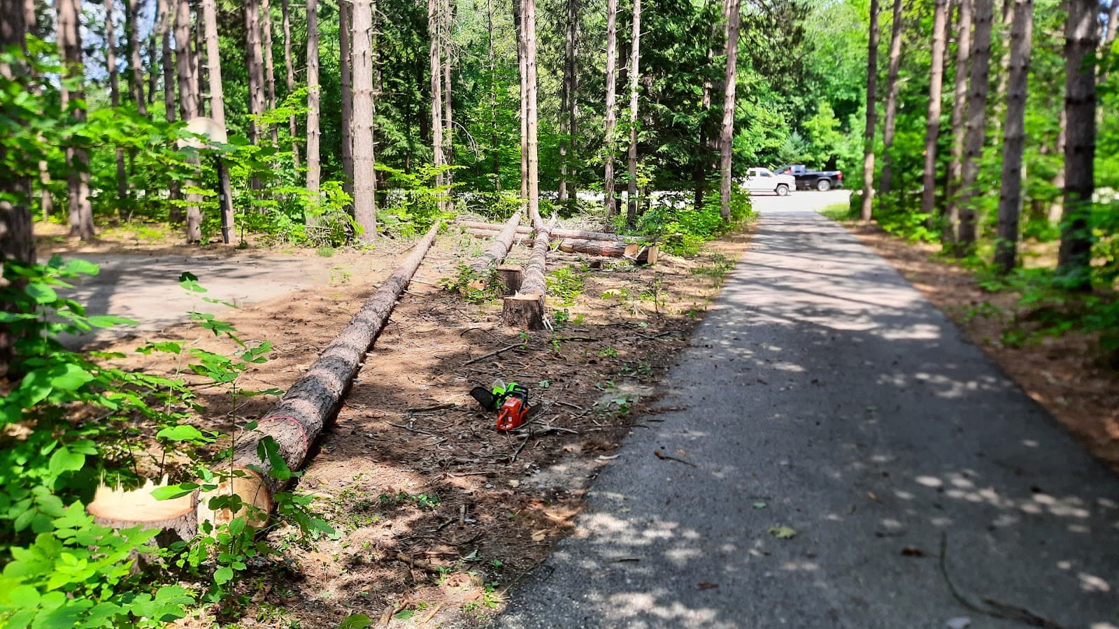 G. Hawkins Tree Service LLC