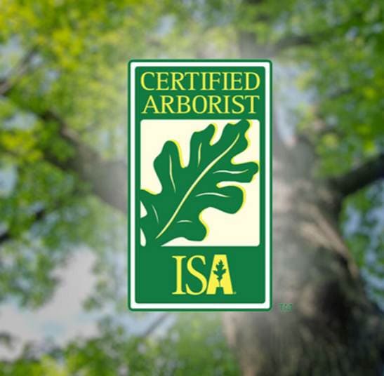 Googe Tree Service and Design