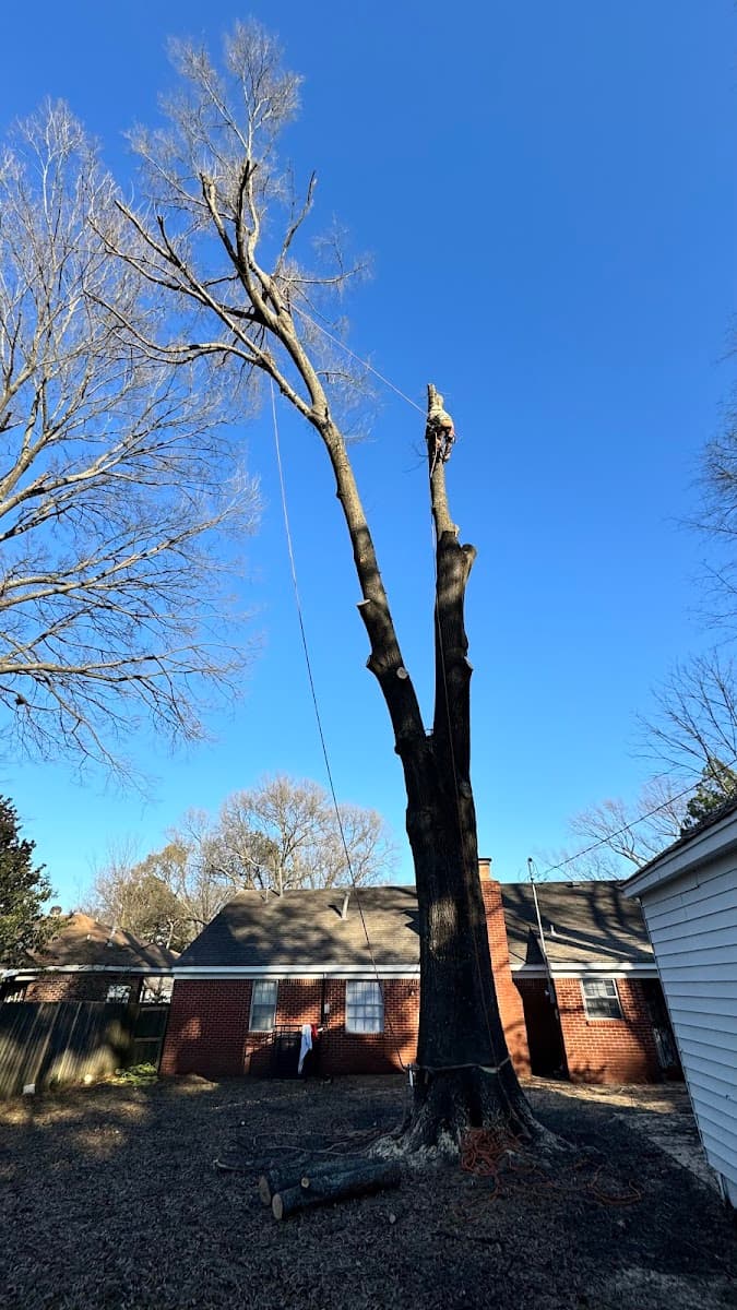 AB TREE SERVICE LLC