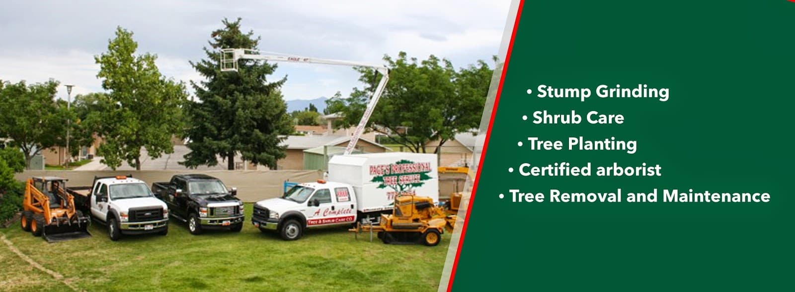 Page's Professional Tree Service