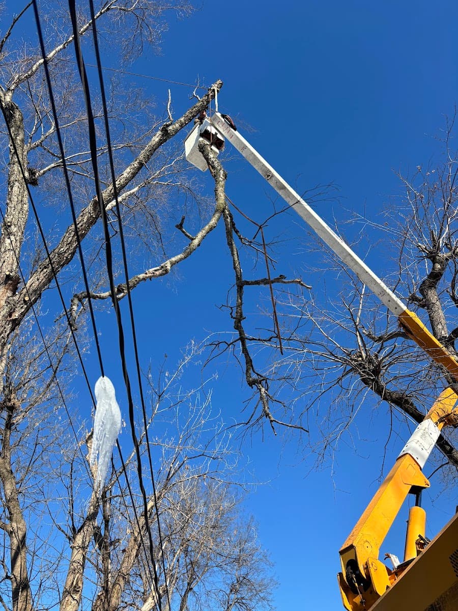 Thompson Tree Care and Landscaping