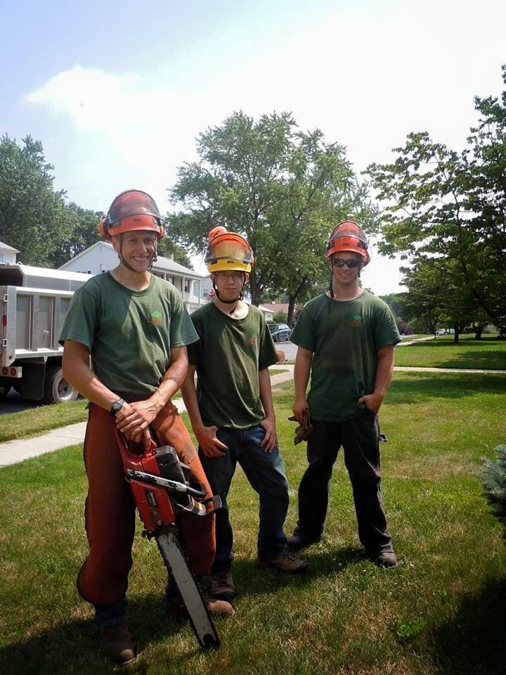 Snyder Tree Service LLC