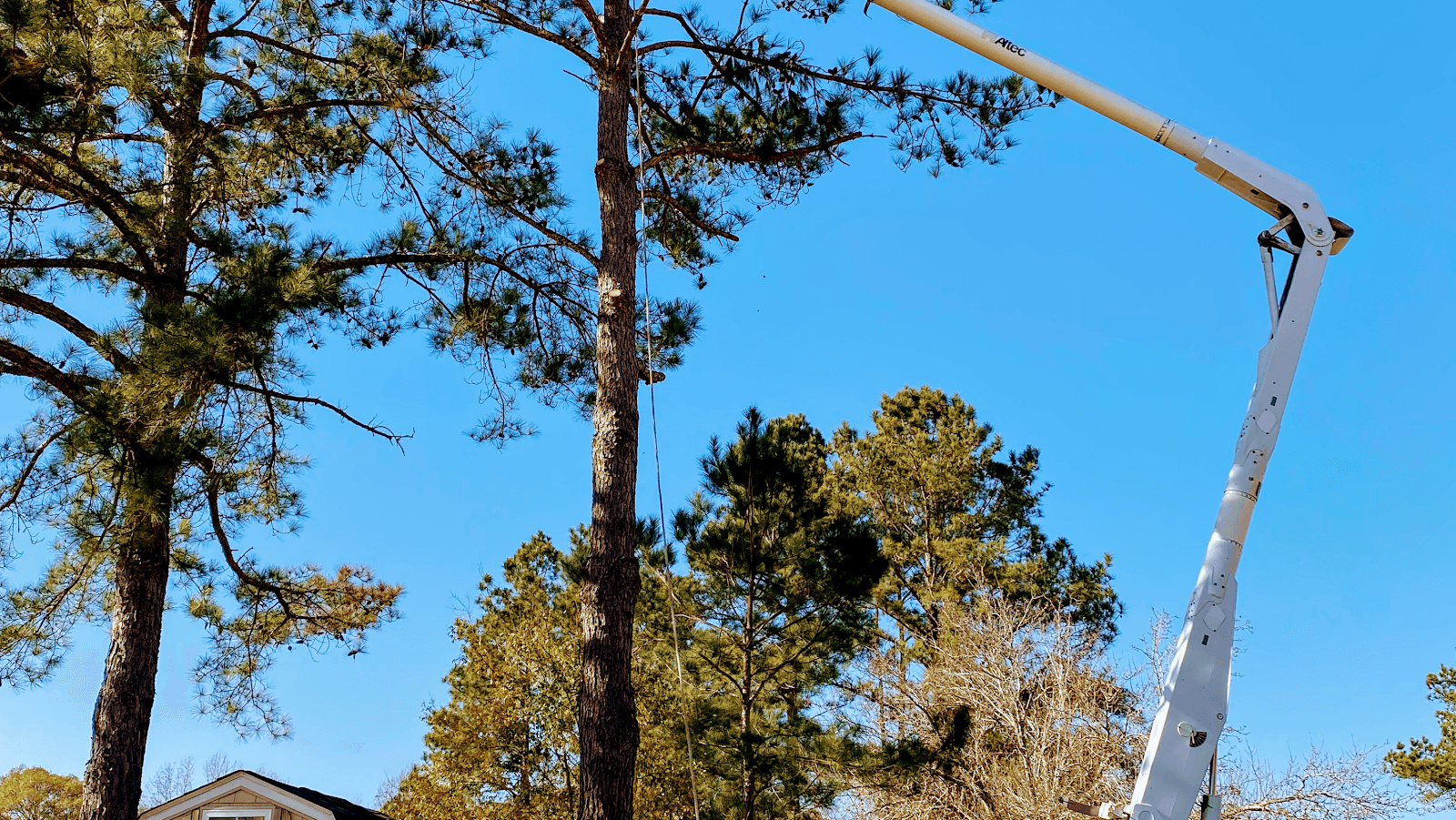 Roberts Tree Service Tifton GA
