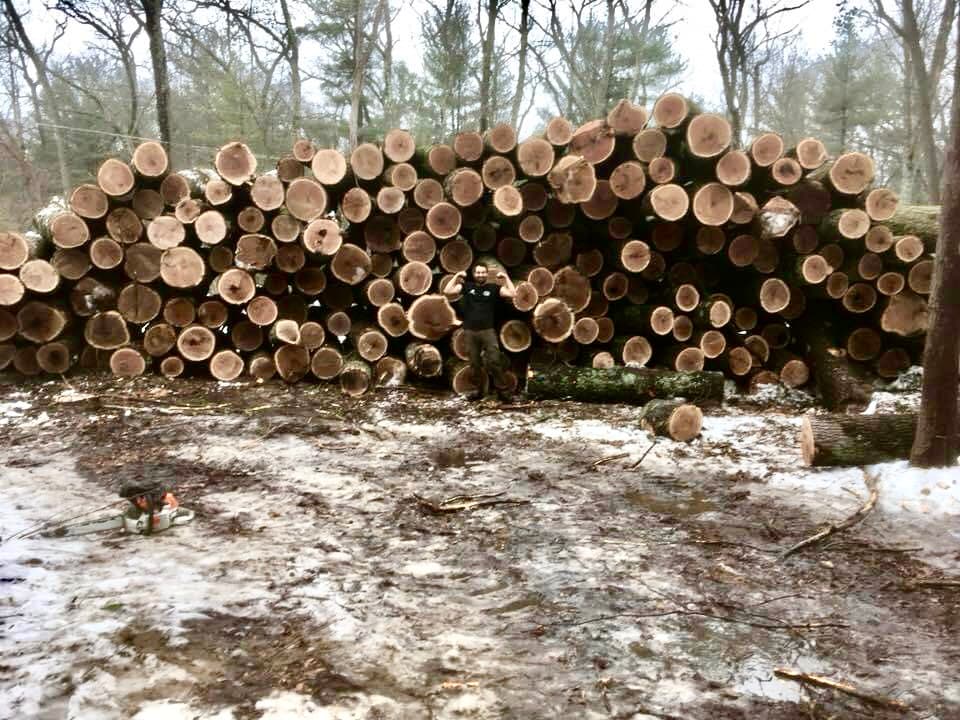 A Cut Above Tree Service & Timber Harvesting