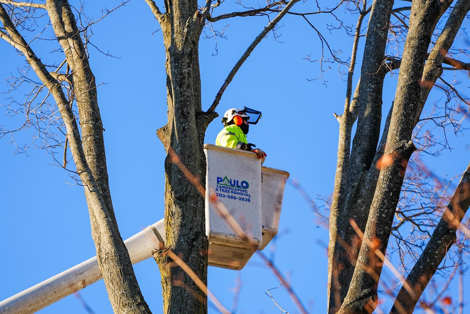 Paulo Landscaping & Tree Removal, LLC.