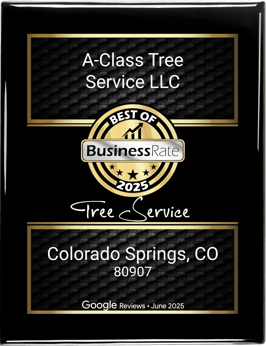 A-Class Tree Service LLC
