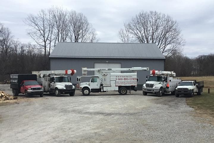D & S Tree Service, LLC of Mooresville & Greencastle