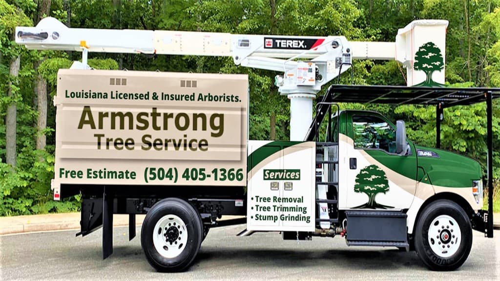 Armstrong Tree Service, Stump Removal