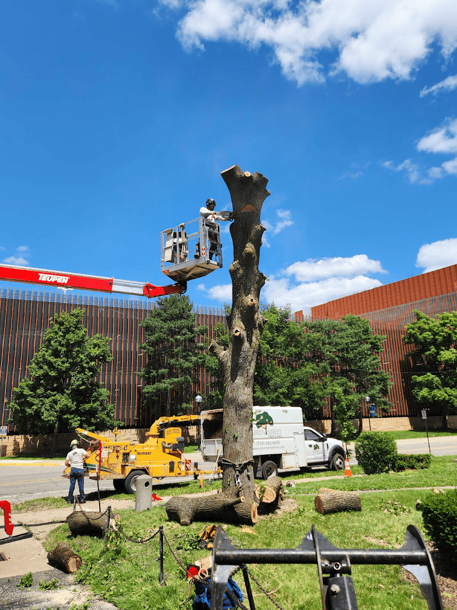 Greenstreet Tree Care