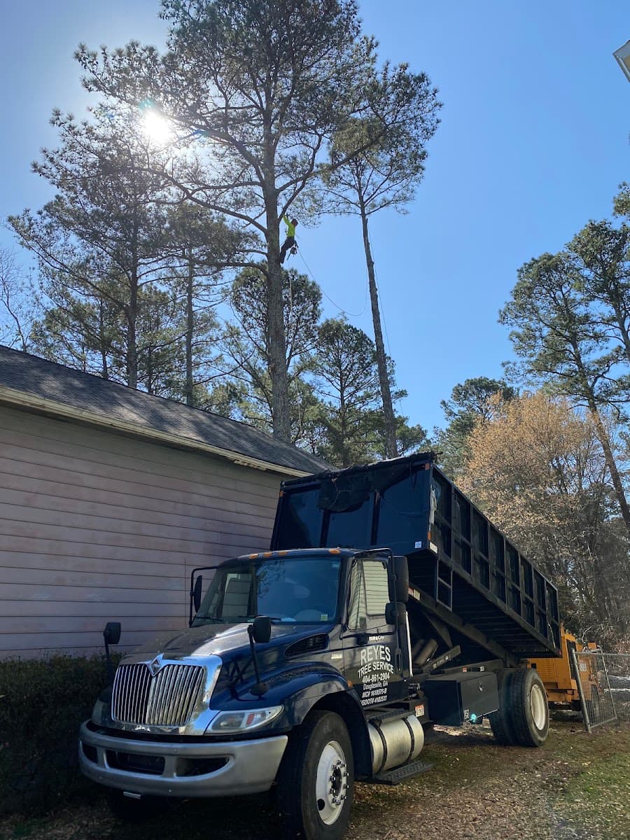 Reyes Tree Service