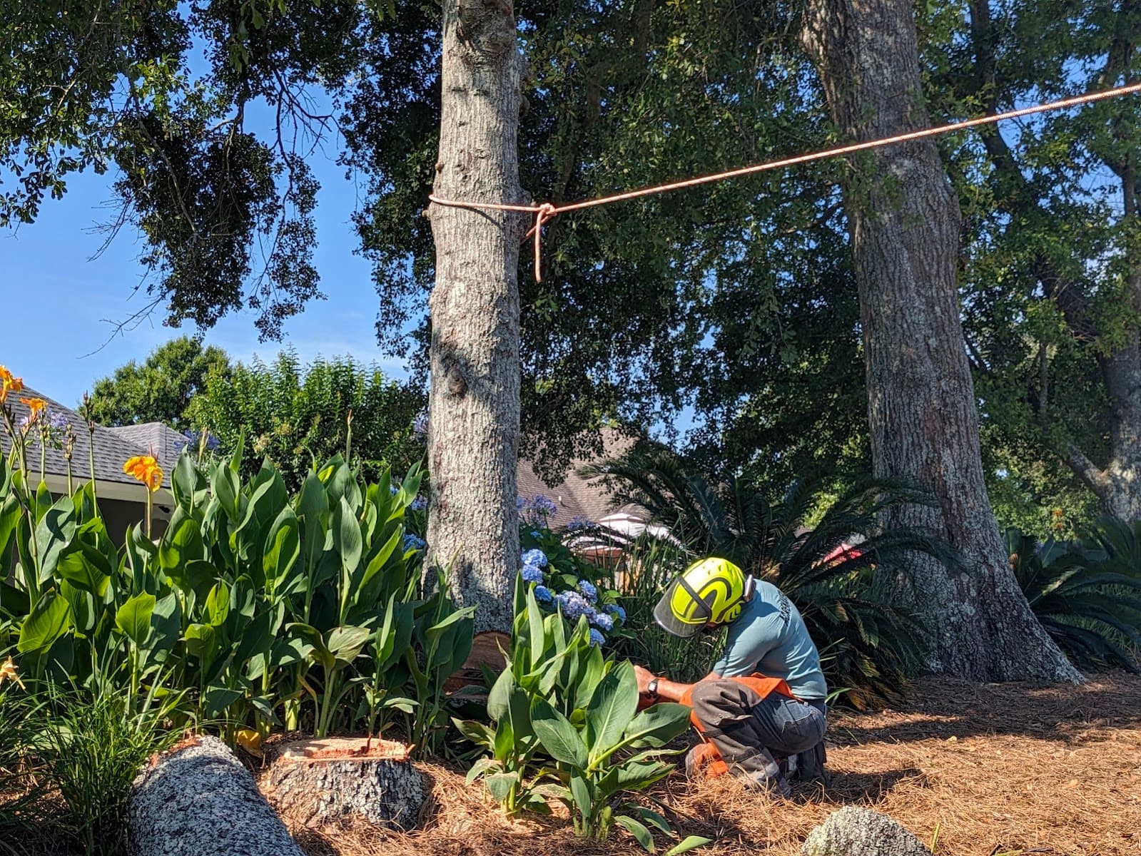 ACRE MAKER Tree & Land Service Thomasville GA