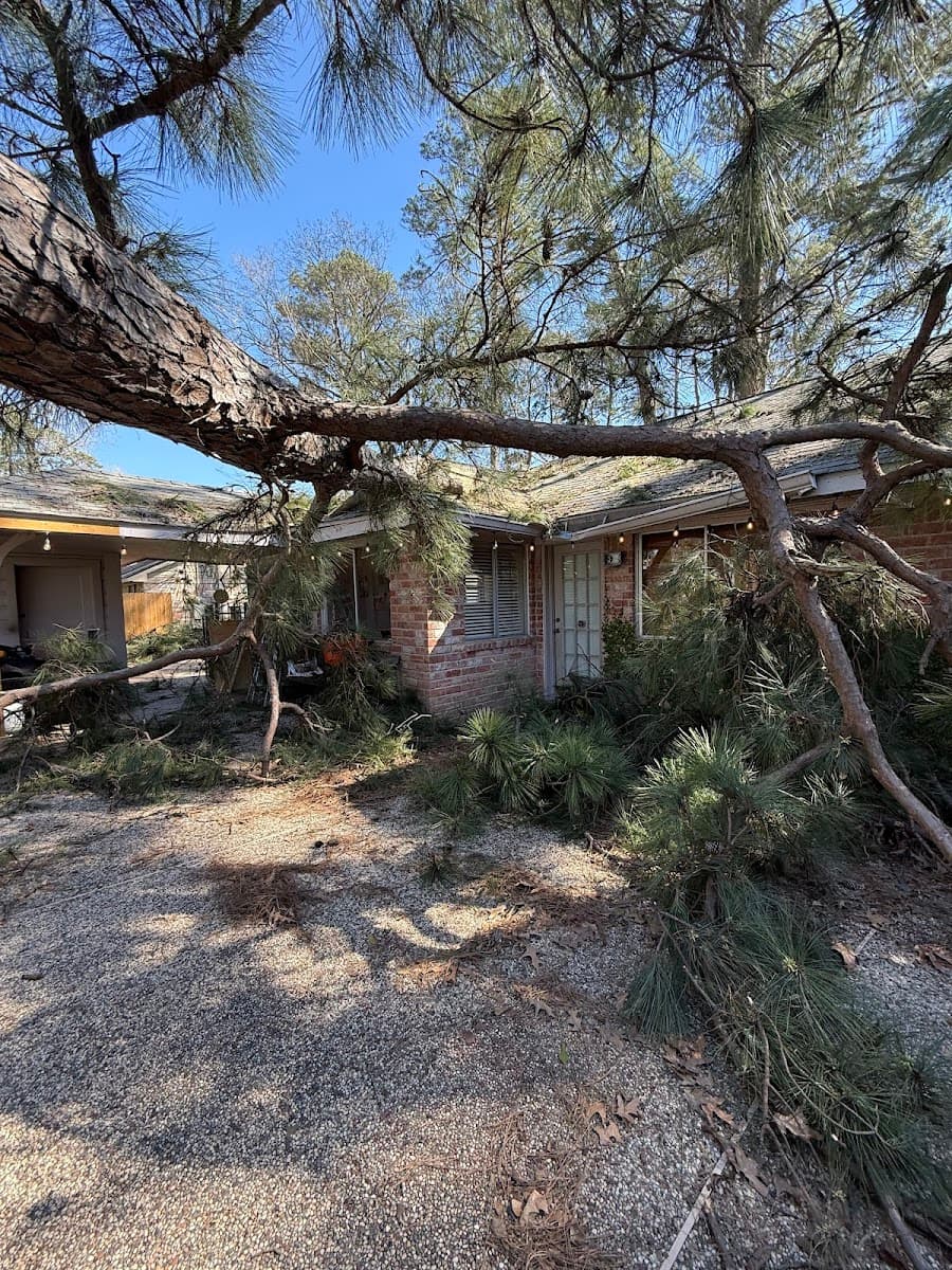 The J Team Tree Service