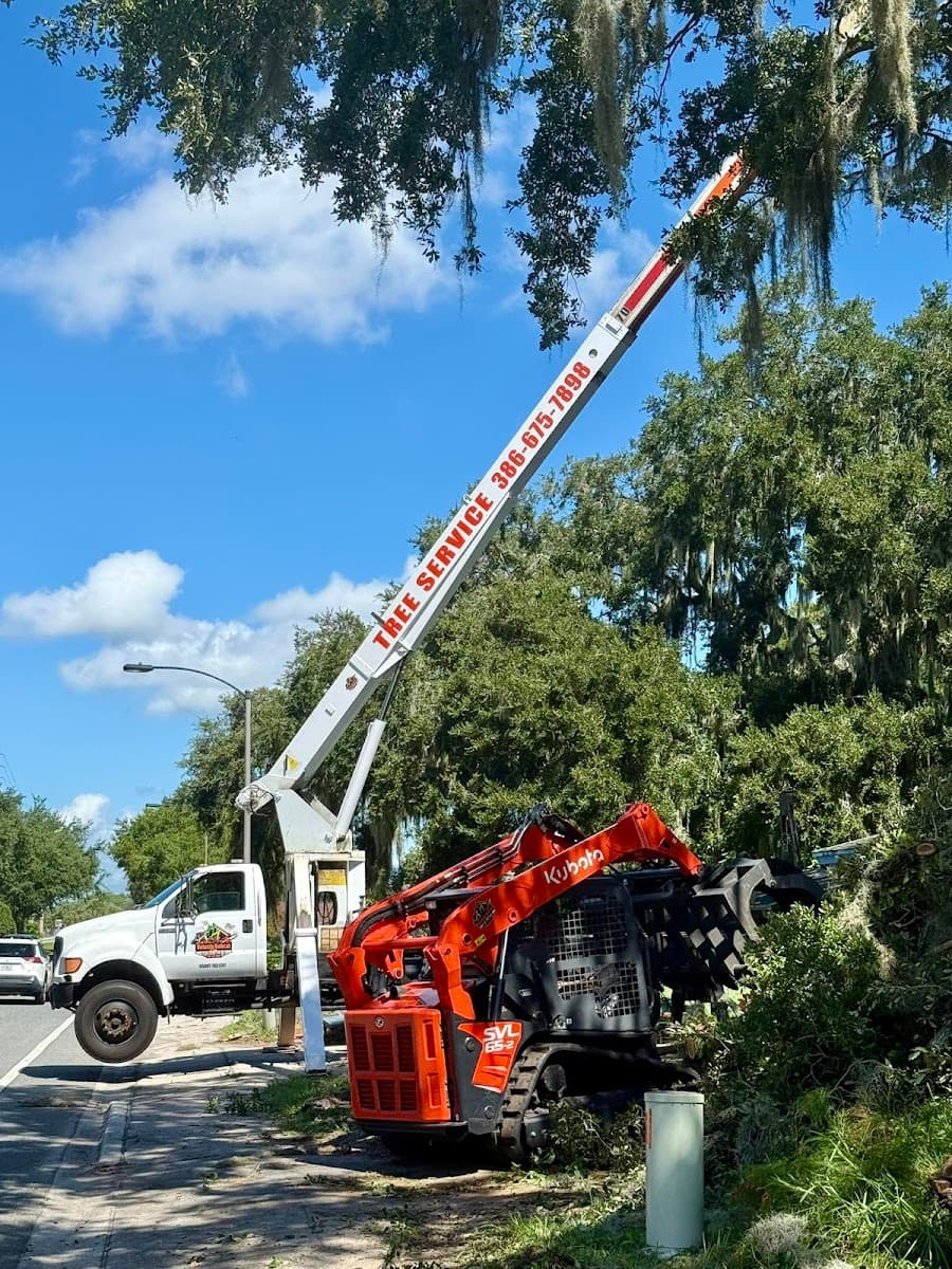 Volusia Bobcat & Tree Service
