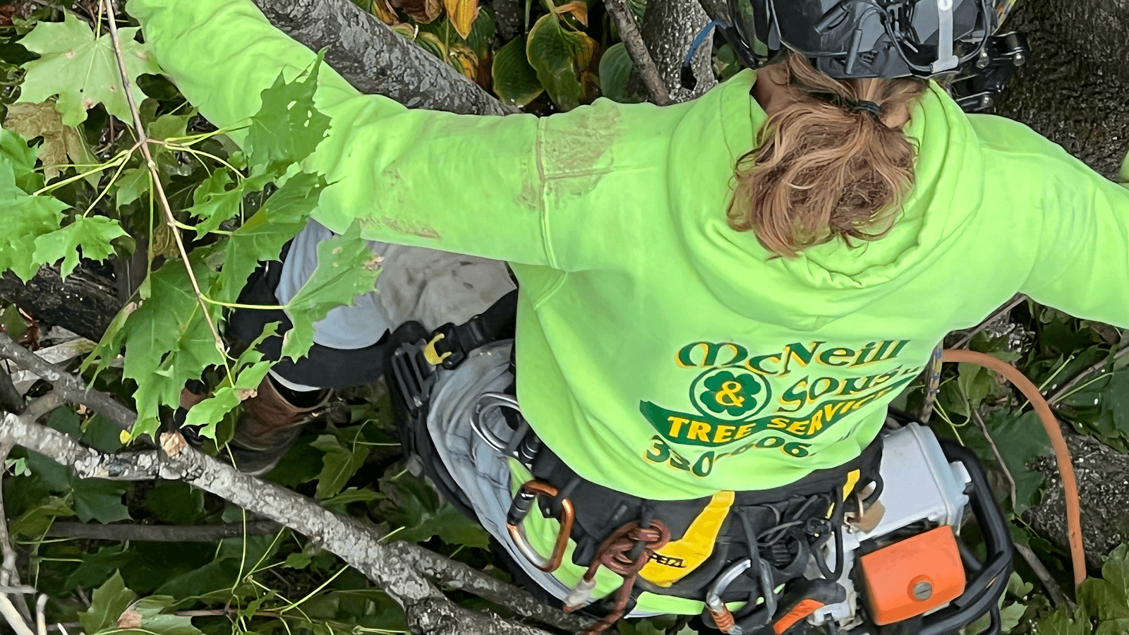 McNeill & Sons Tree Service