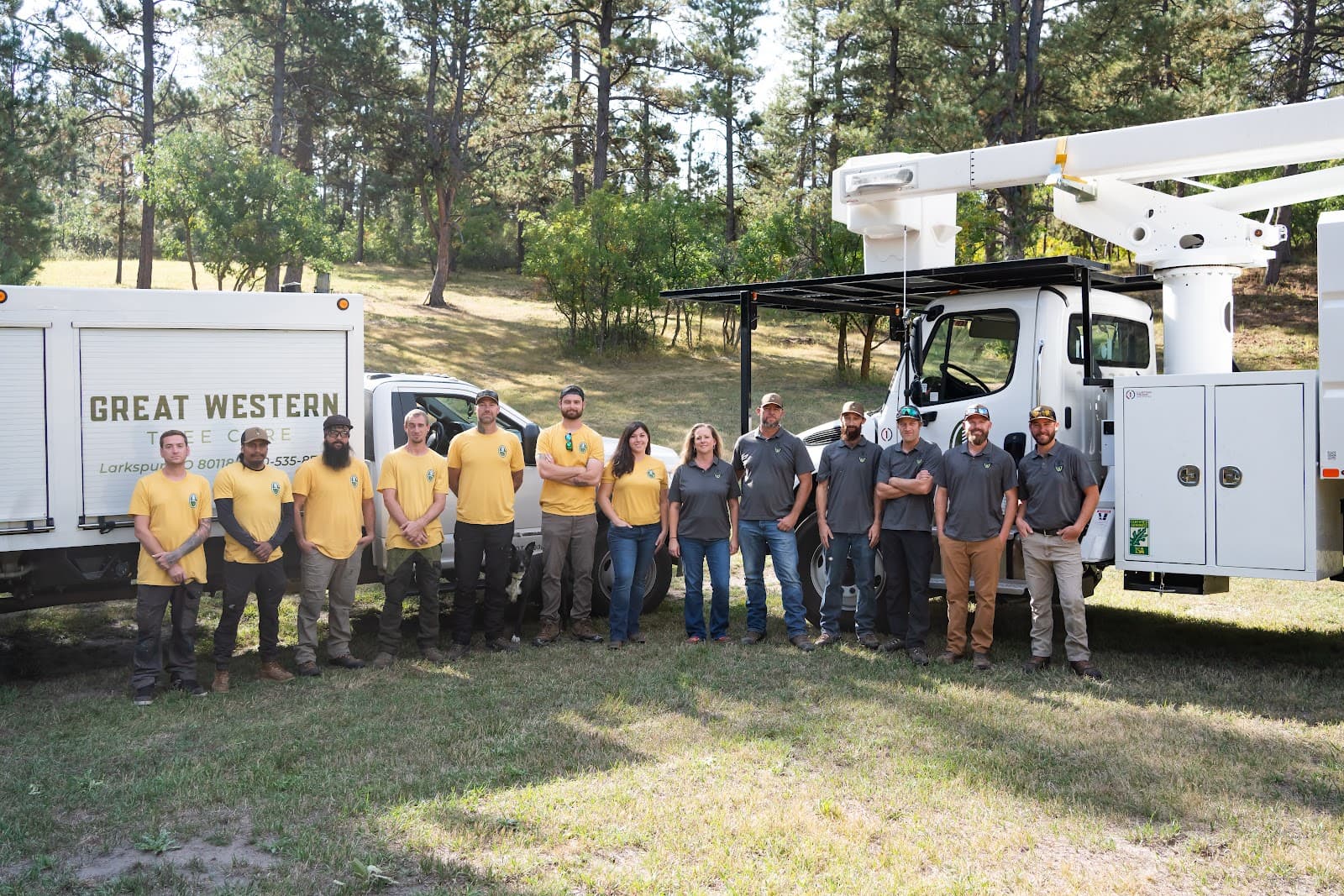 Great Western Tree Care