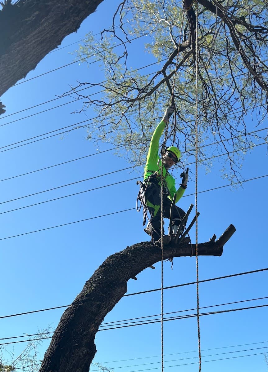 Top Notch Tree Service LLC