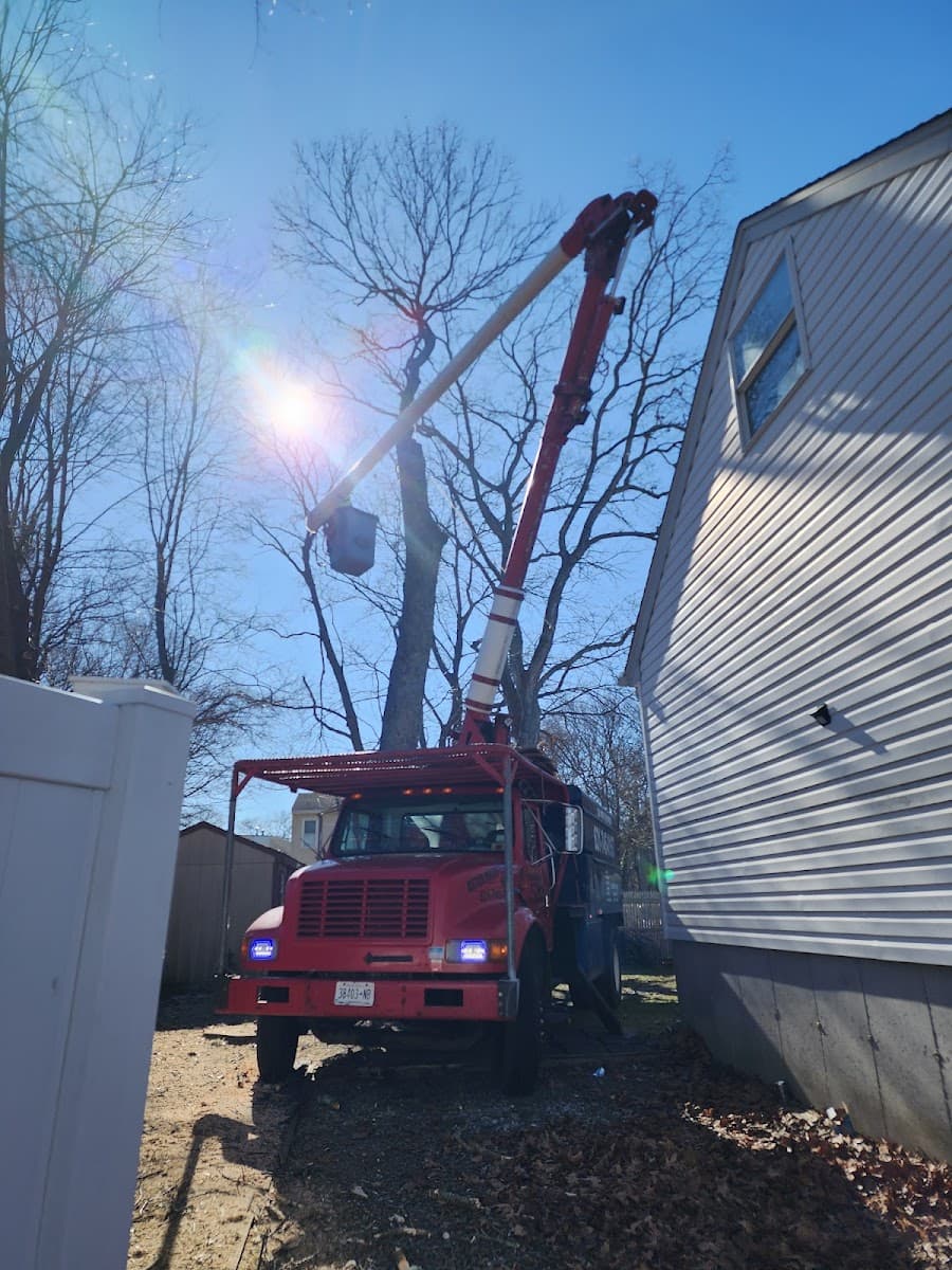 Sm tree service
