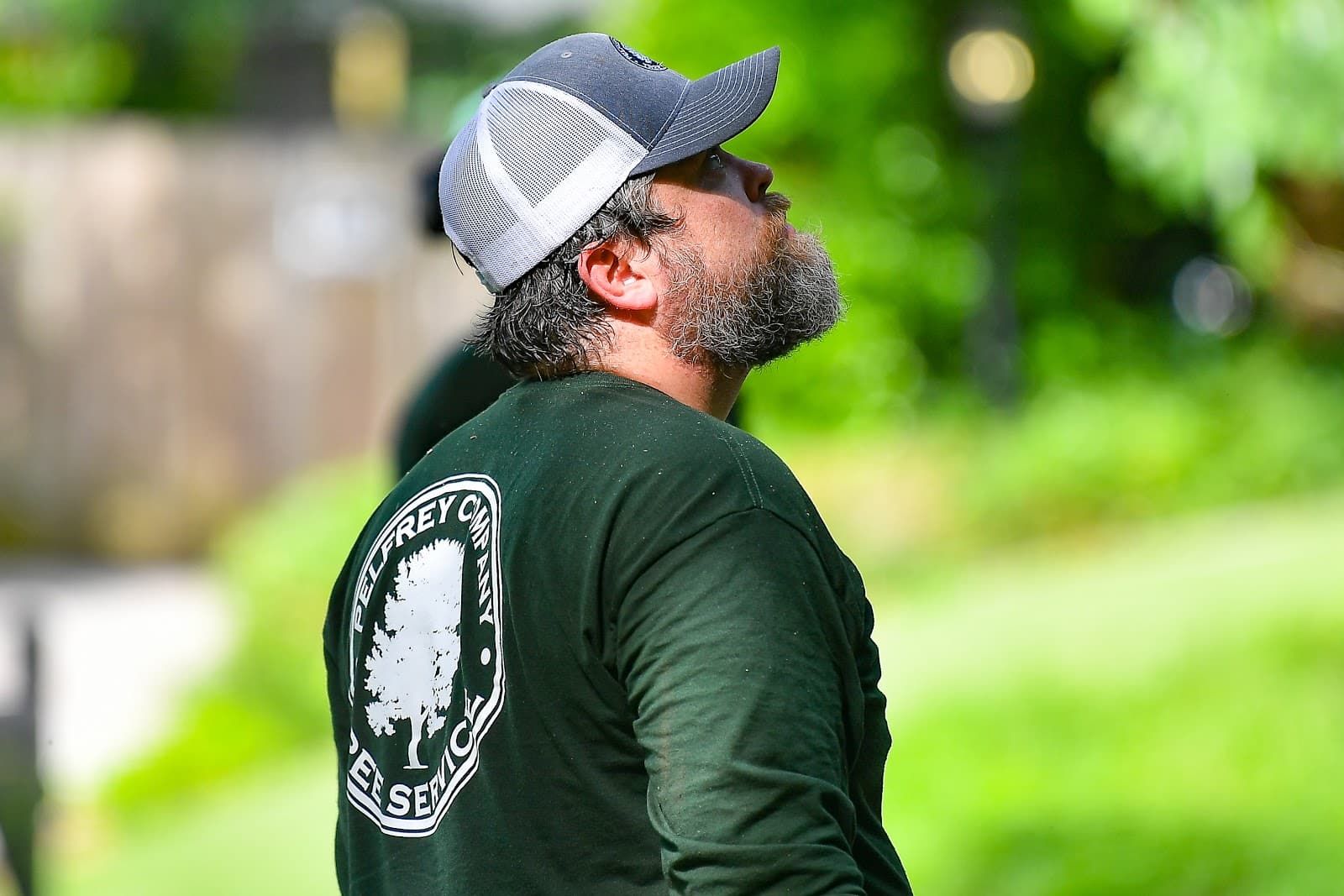 Pelfrey Company Tree Service