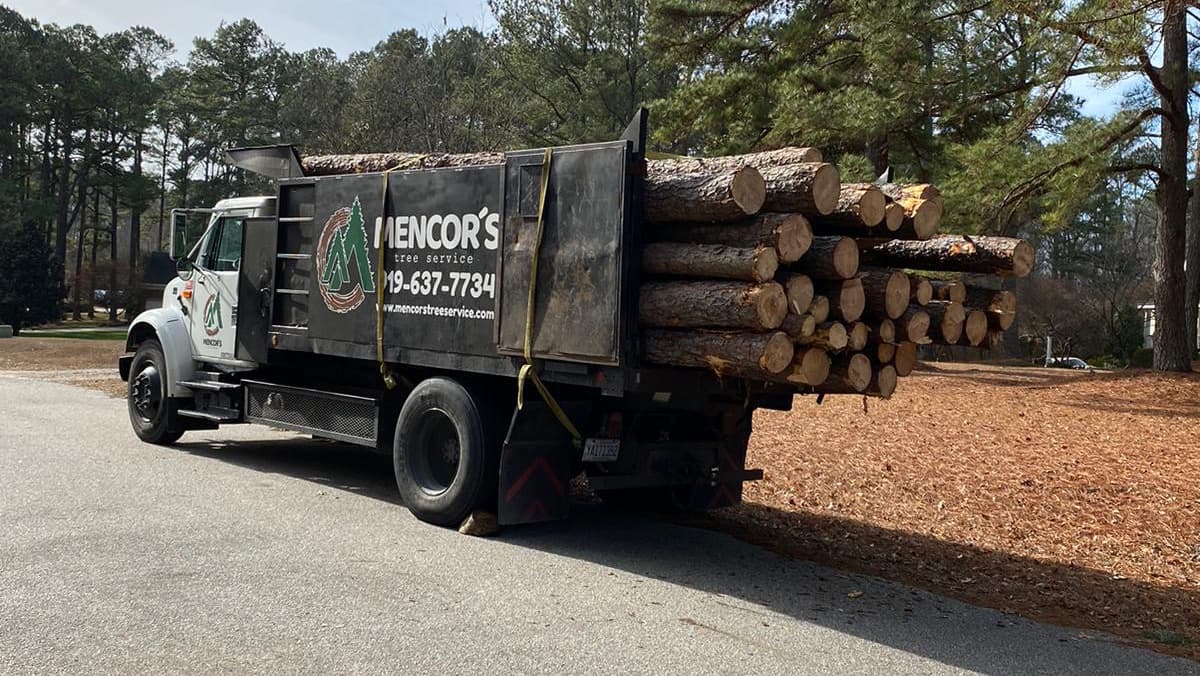 Mencor's Tree Service