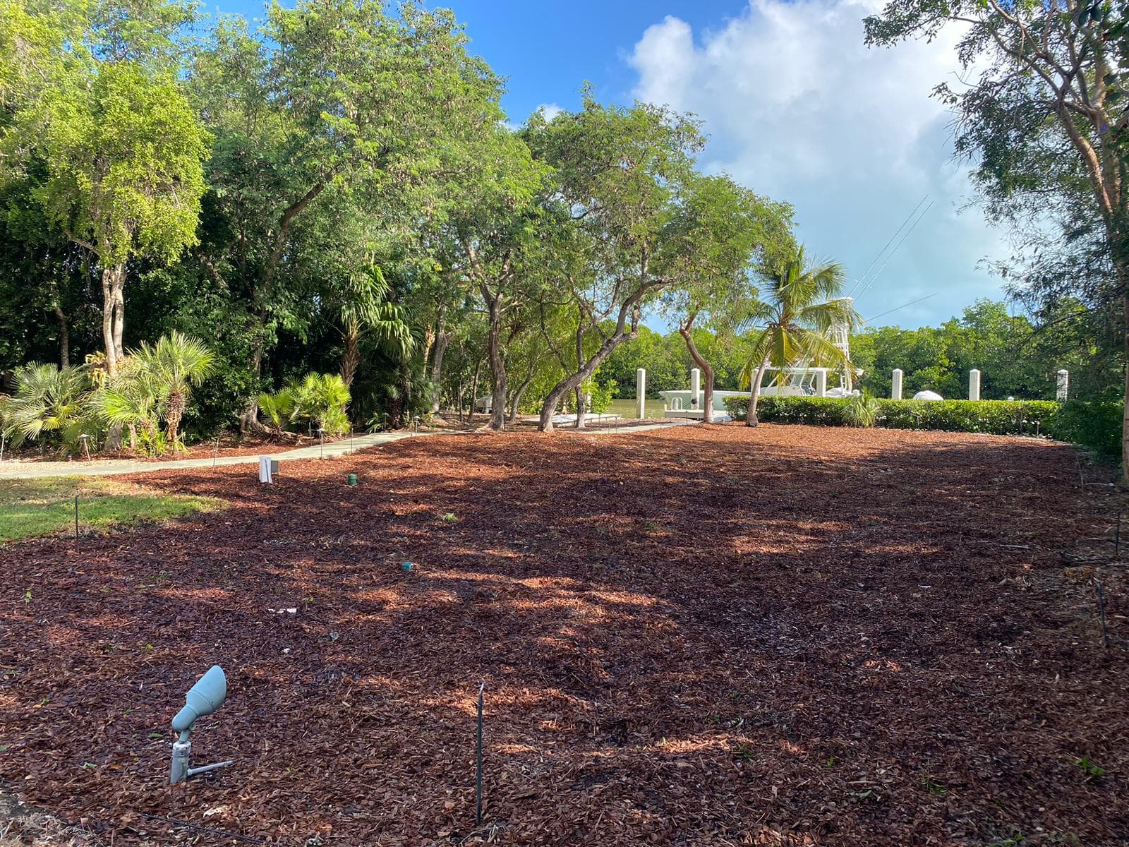 Reef Landscape & Tree Services