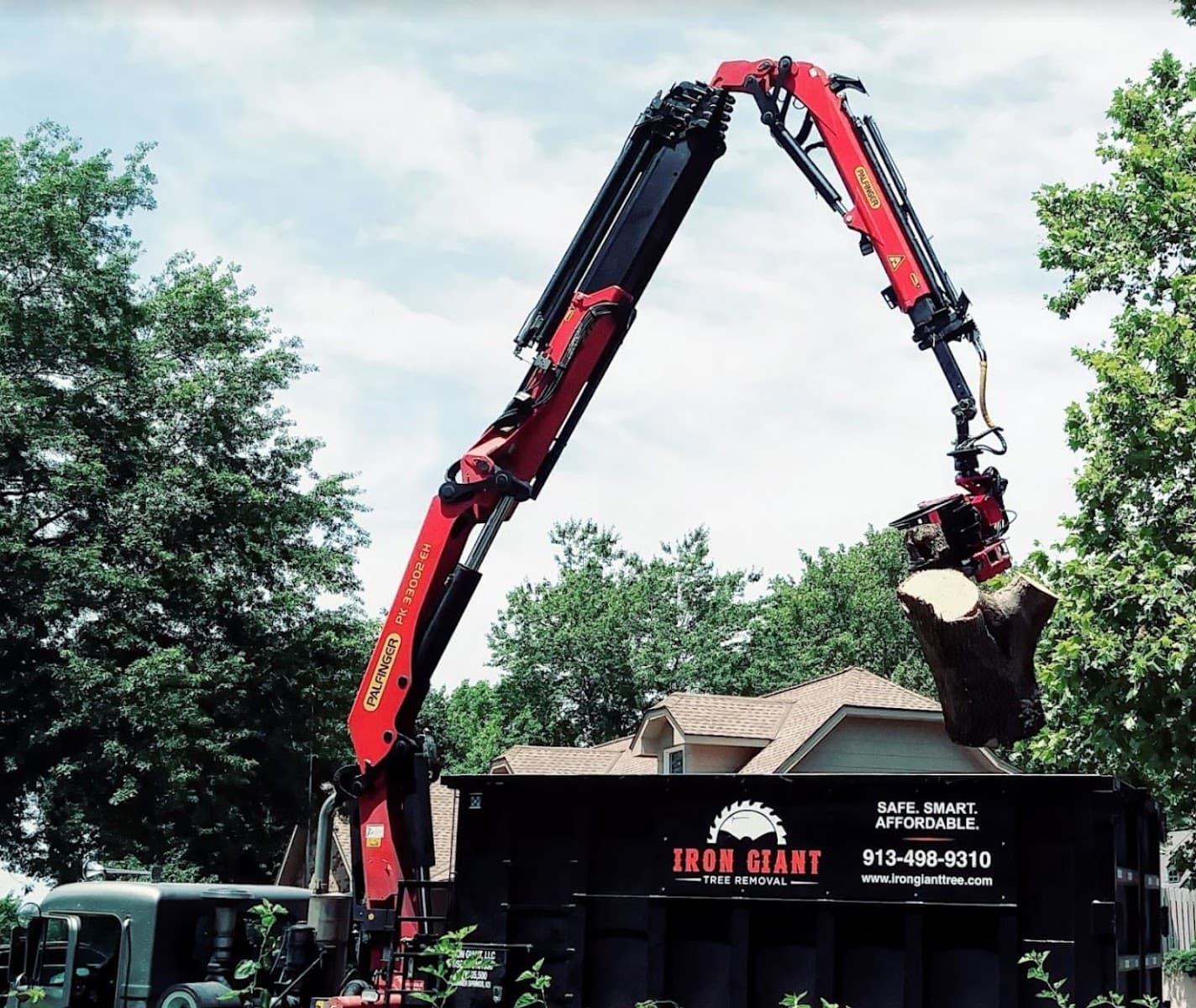 Iron Giant Tree Removal