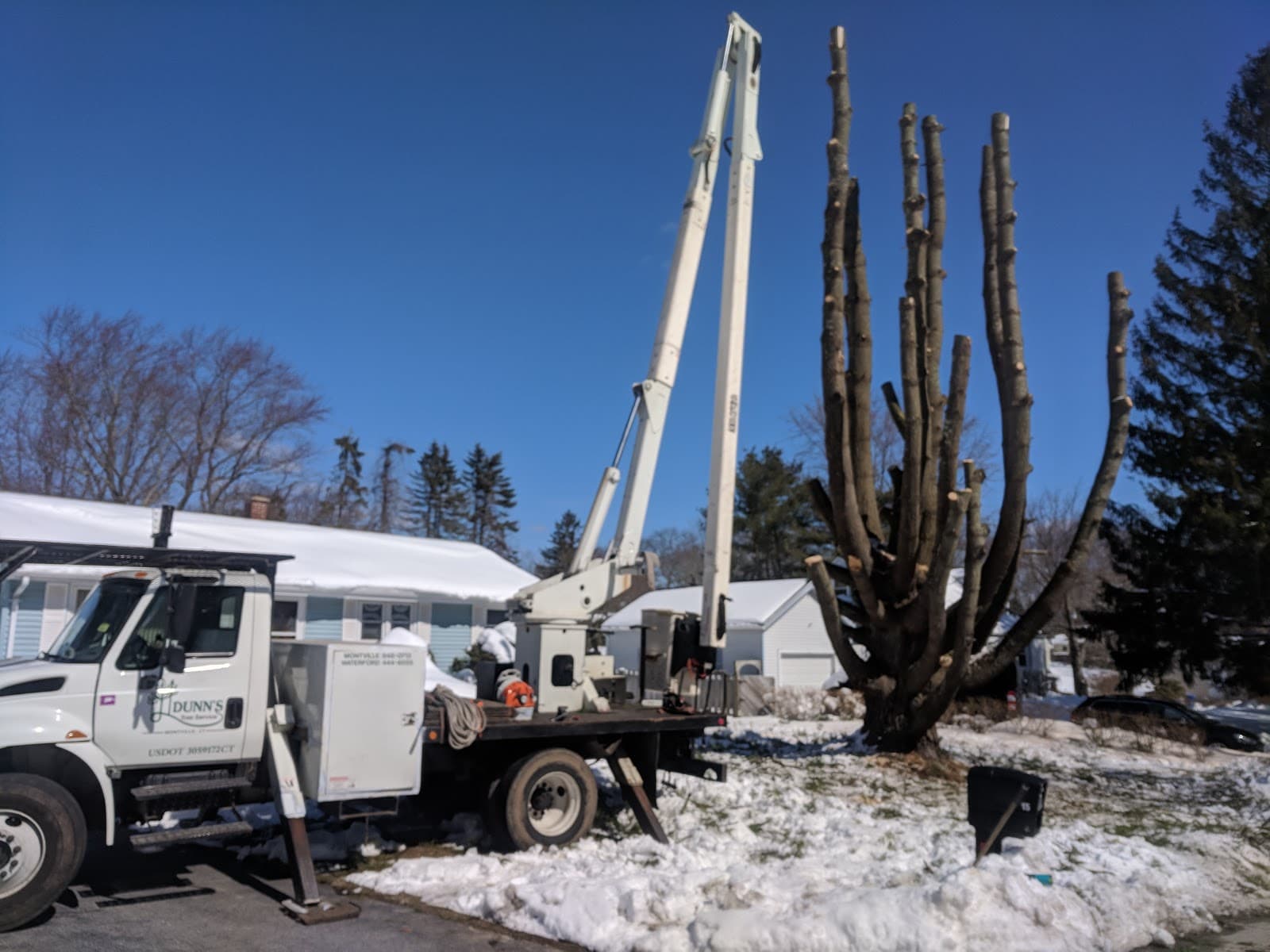 Dunn's Tree Service LLC