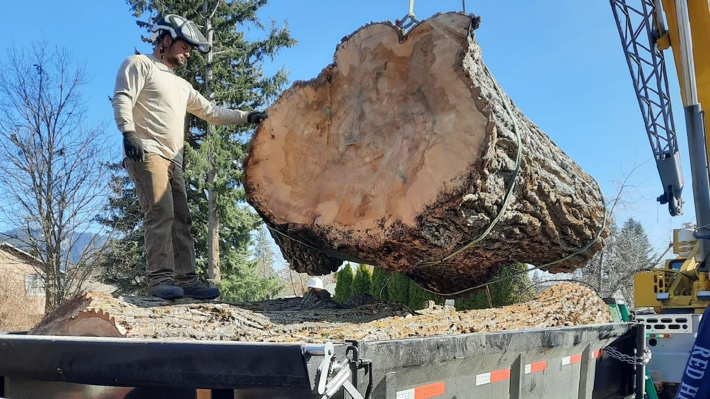 On Call Tree Service