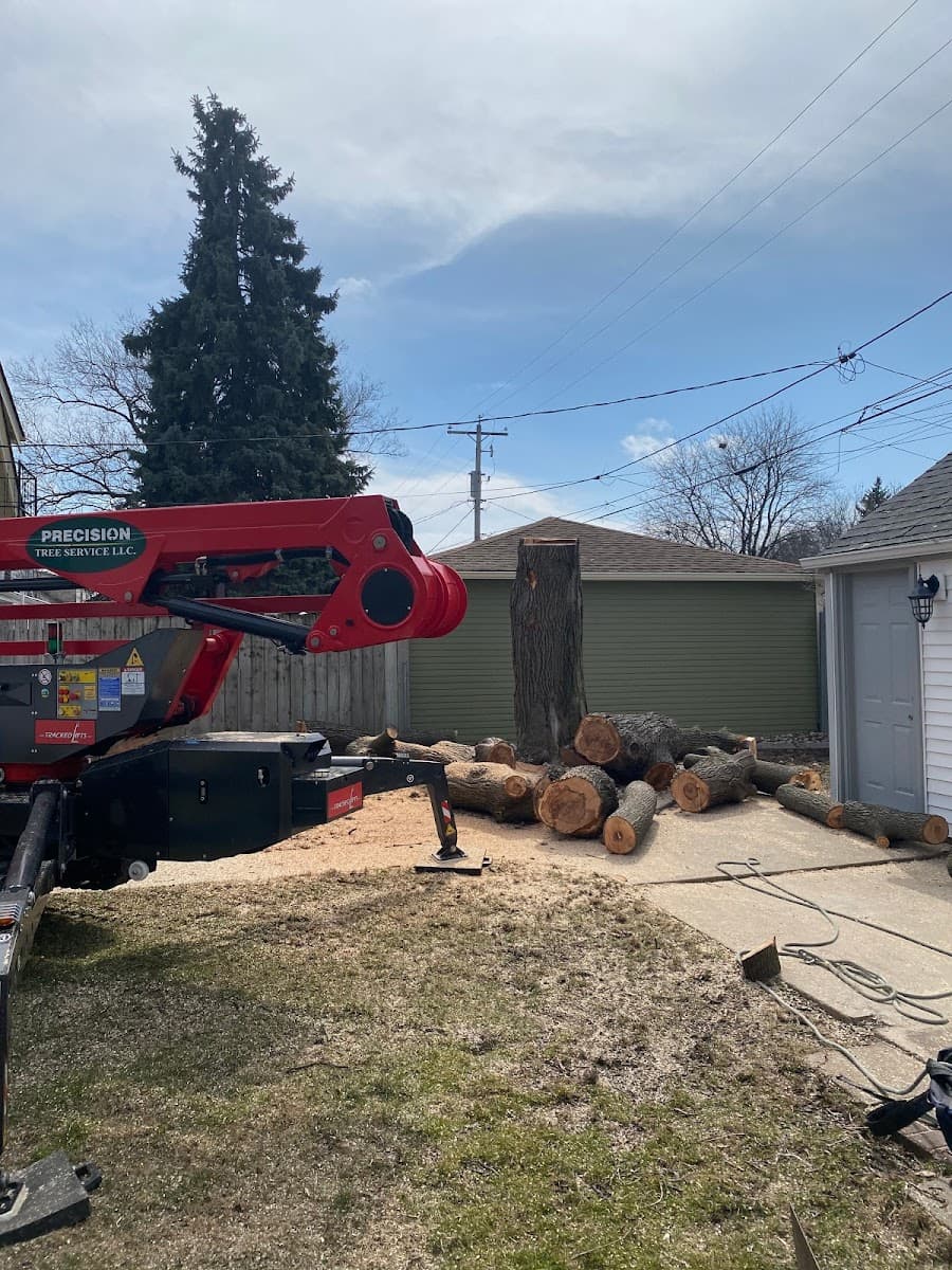 Precision Tree & Landscape Service LLC