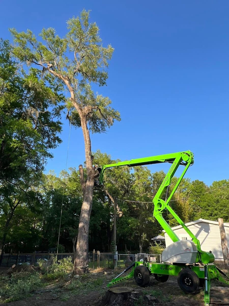 Coste Tree Service