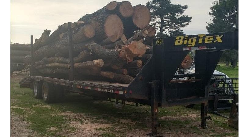 Robert's Tree Service